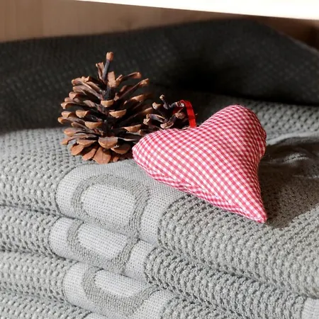 Jagdhof Ligedl 4* Mayrhofen